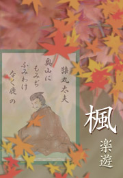 Ƃ񂩂̑蕨w@ex