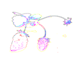 ChXgx[̎EH2b