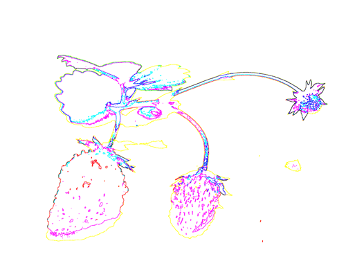 ChXgx[̎EH2c