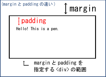 marginpadding̈Ⴂ